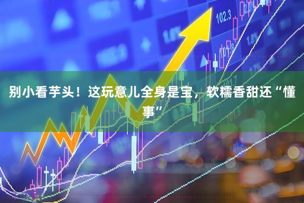 别小看芋头！这玩意儿全身是宝，软糯香甜还“懂事”
